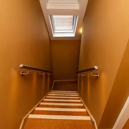 3 *